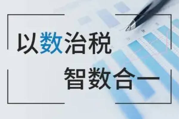 新中原系统：税务与IT咨询的融合艺术